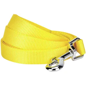 Classic Solid Color Dog Leash, Yellow/Orange